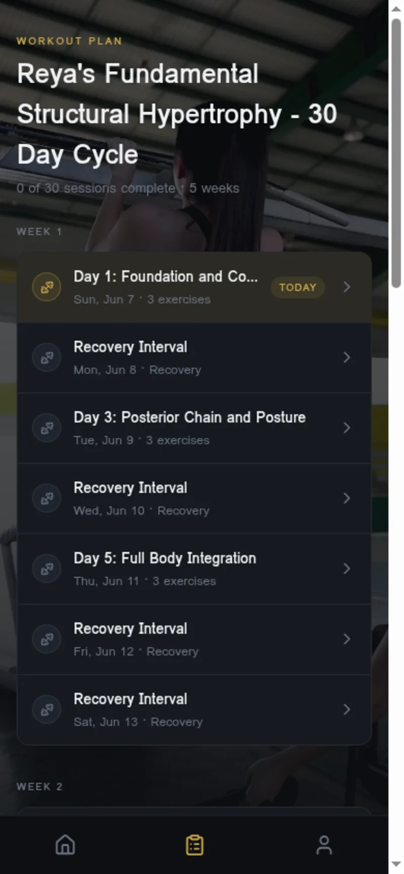FitnessExecute — Workout plan